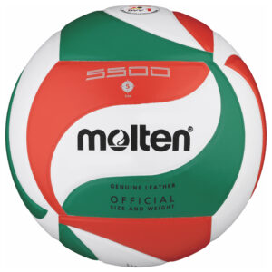 Molten Volleyball-Wettspielball V5M5500 Leder